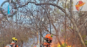 Identificados autores de incêndios de quase 90 mil hectares